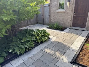Lumen Landscaping | Hardscaping Side entrance slab walkway restored with a new border and planting