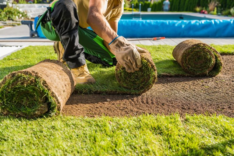 Sod Installation & Lawn Care in Guelph: Getting a Lush Lawn Fast